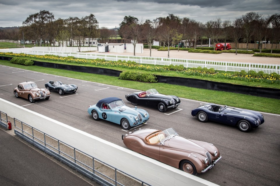 JAGUAR HERITAGE RACING - LINE UP PER LA 1000MIGLIA 2014