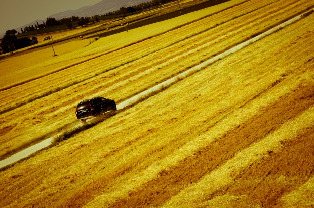 VOLVO XC90 YELLOW FIELD-2